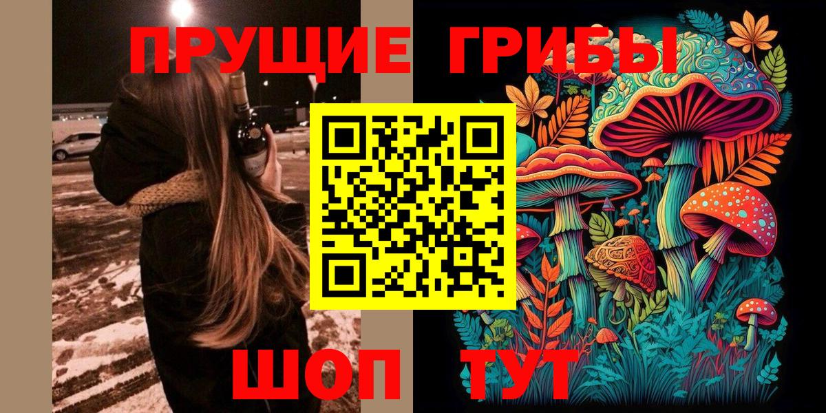 Псилоцибиновые грибы мицелий Саратов