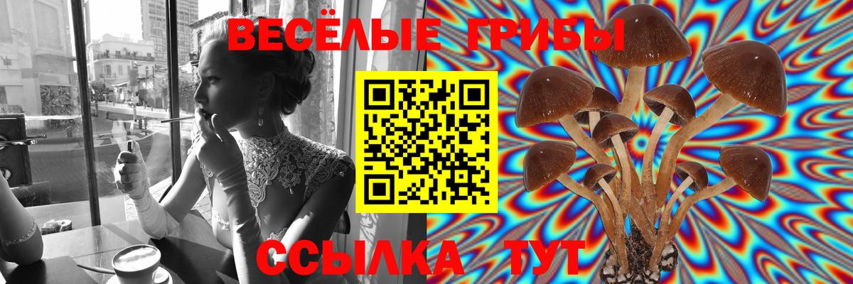 Псилоцибиновые грибы Psilocybe  Вход с VPN  Саратов 